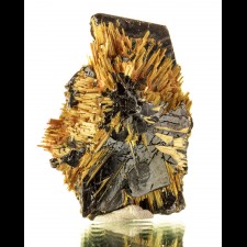 1.7" Metallic Golden RUTILE Needle Crystals Epitaxic on Hematite Brazil for sale 1.7" Metallic Golden RUTILE Needle Crystals Epitaxic on Hematite Brazil for sale