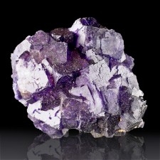 4.5" Blue Violet Plum Purple Cubic FLUORITE Crystals Muzquiz Mexico for sale 4.5" Blue Violet Plum Purple Cubic FLUORITE Crystals Muzquiz Mexico for sale