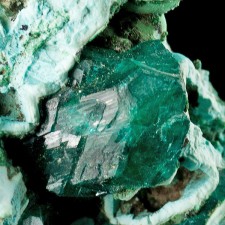 1.1" Wet-Look Brilliant Gemmy Green DIOPTASE Sharp-Edged Crystals Congo for sale 1.1" Wet-Look Brilliant Gemmy Green DIOPTASE Sharp-Edged Crystals Congo for sale