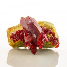 2.4" Deep Burgundy Red Gem PRUSKITE Sharp Shiny Crystals to 1" Poland for sale 2.4" Deep Burgundy Red Gem PRUSKITE Sharp Shiny Crystals to 1" Poland for sale
