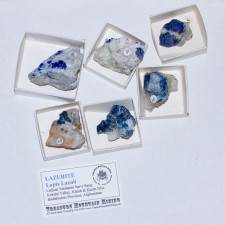Wholesale Flat 6 pieces LAZURITE Crystals Lapis Lazuli Afghanistan @$20 for sale Wholesale Flat 6 pieces LAZURITE Crystals Lapis Lazuli Afghanistan @$20 for sale