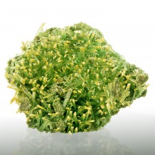 3.6" Golden Tipped MintGreen SELENITE Terminated Porcupine Crystals Rudya Poland 3.6" Golden Tipped MintGreen SELENITE Terminated Porcupine Crystals Rudya Poland