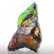 2.8" Orange-Red-Green Iridescent GEM AMMOLITE (Ammonite) Fossil Canada for sale 2.8" Orange-Red-Green Iridescent GEM AMMOLITE (Ammonite) Fossil Canada for sale