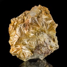 3.1" PYROPHYLLITE Radiating Rosettes Lt. Orange Crystals North Carolina for sale 3.1" PYROPHYLLITE Radiating Rosettes Lt. Orange Crystals North Carolina for sale