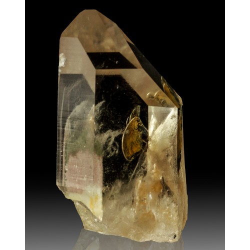 2.8" Sharp Chisel Terminated Triple White PHA...
