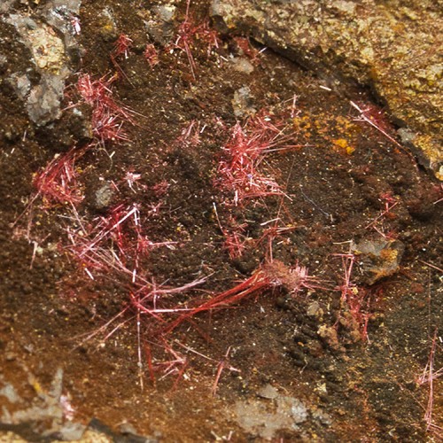 2.2" Delicate NeonRed CHALCOTRICHITE Cuprite ...