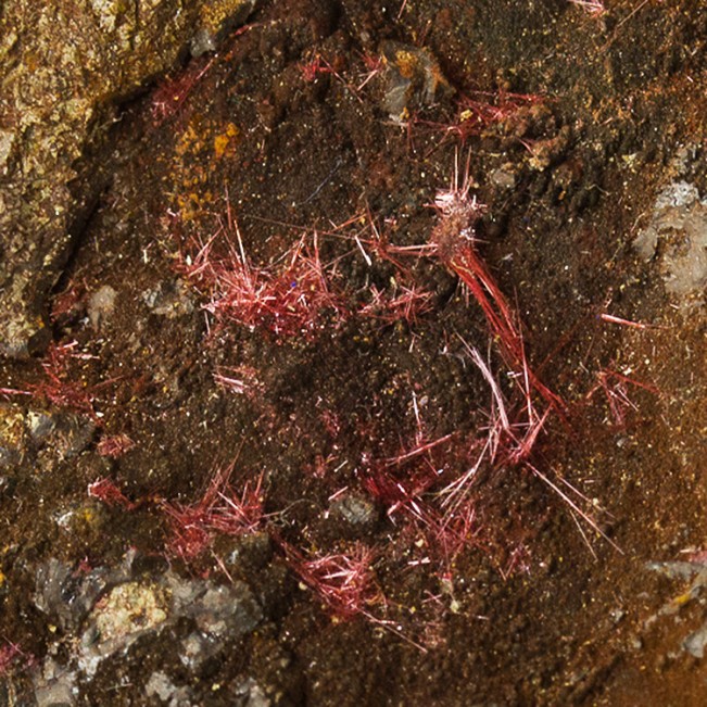 2.2" Delicate NeonRed CHALCOTRICHITE Cuprite Thin Needle Crystals China for sale