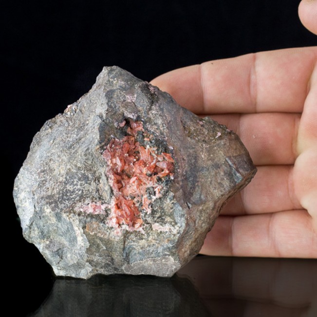 4.2" Scarlet Red Gemmy RHODOCHROSITE Dogtooth Crystals Uchucchucua Peru for sale