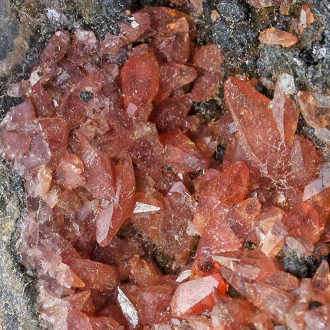 4.2" Scarlet Red Gemmy RHODOCHROSITE Dogtooth Crystals Uchucchucua Peru for sale