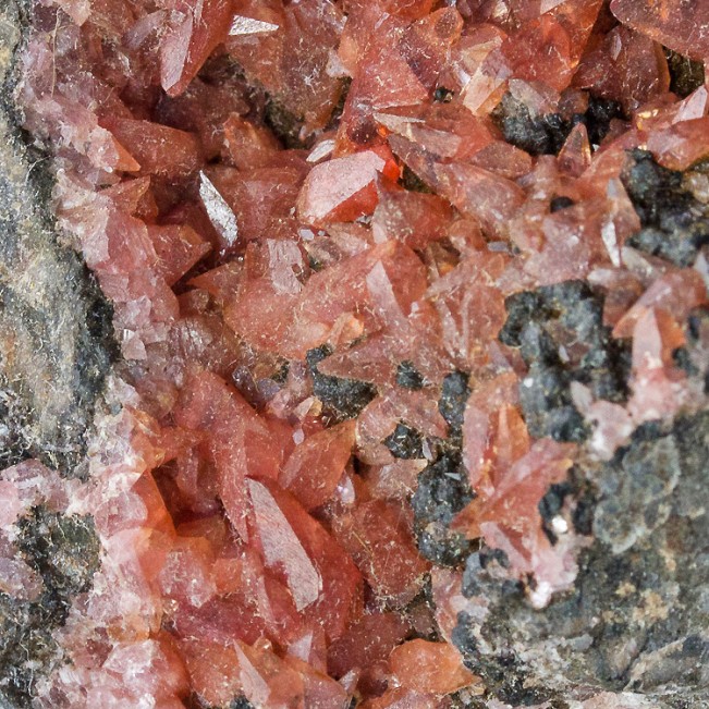 4.2" Scarlet Red Gemmy RHODOCHROSITE Dogtooth Crystals Uchucchucua Peru for sale