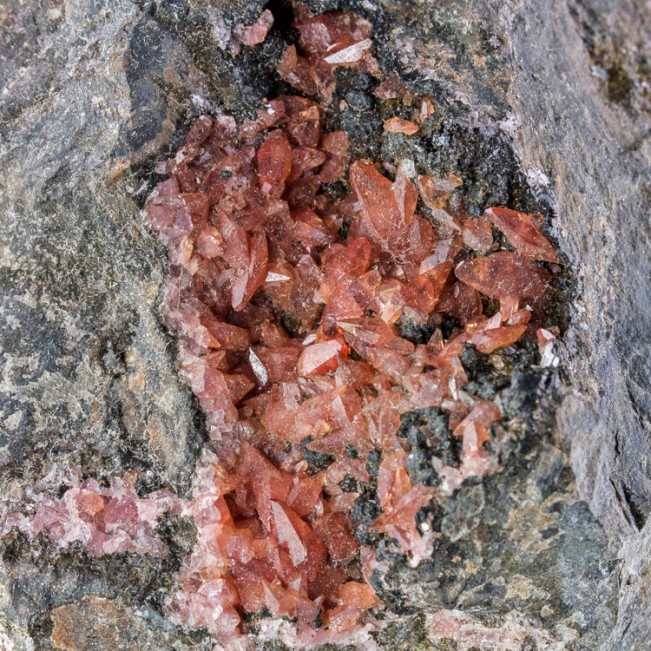 4.2" Scarlet Red Gemmy RHODOCHROSITE Dogtooth Crystals Uchucchucua Peru for sale