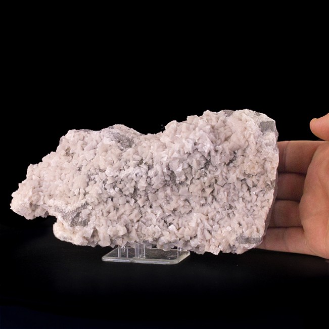7.8" Sharp Pink DOLOMITE Crystals w/PYRITE Ste-Clotilde Quarry Quebec for sale