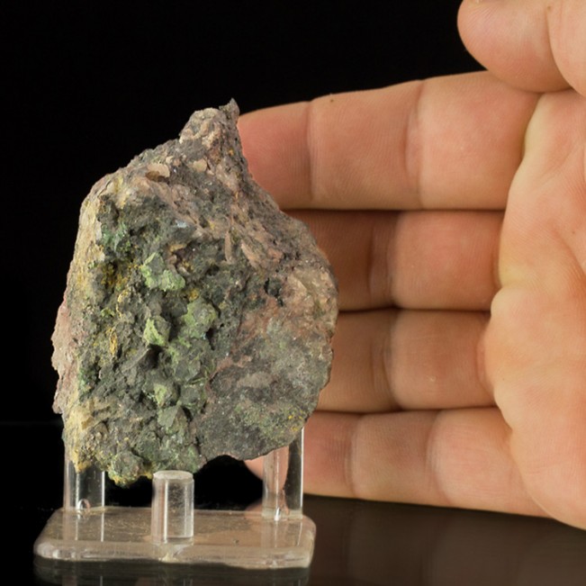 3.2" Rare Dark Green Octahedral LIBETHENITE Crystals in Open Vug Congo for sale