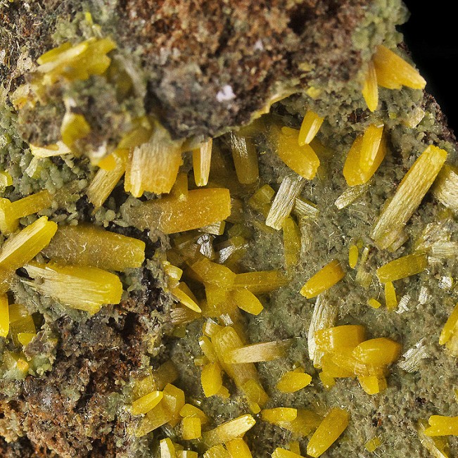 4.3" YellowGold BIPYRAMIDAL WULFENITE Crystals on Green Mimetite Mexico for sale