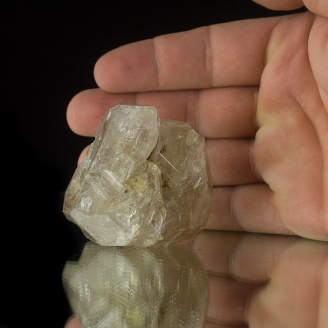 2.5" Sharp Gemmy SKELETAL (FENSTER) QUARTZ Crystal Mexico for sale