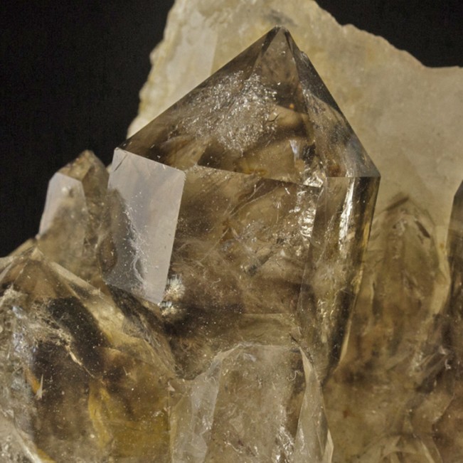 4.7" Sharp Gemmy SCEPTERED SMOKY QUARTZ Crystals on Clear Quartz Brazil for sale