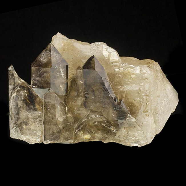 4.7" Sharp Gemmy SCEPTERED SMOKY QUARTZ Crystals on Clear Quartz Brazil for sale