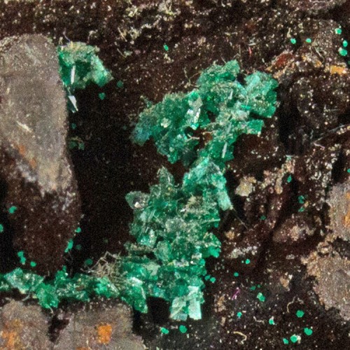 3.2" Bright Green PSEUDOMALACHITE Crystals Ra...