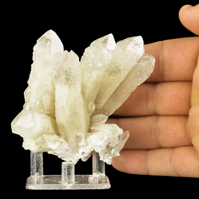 3.5" ELESTIAL QUARTZ Crystal Group Sharp Clear Terminations Mongolia for sale