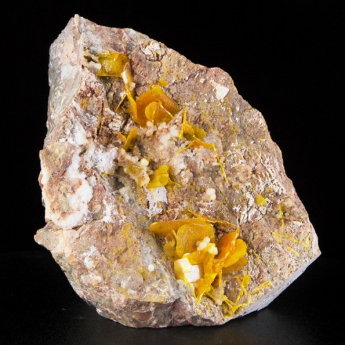 6" Orange Tabular WULFENITE Crystals to .4&qu...