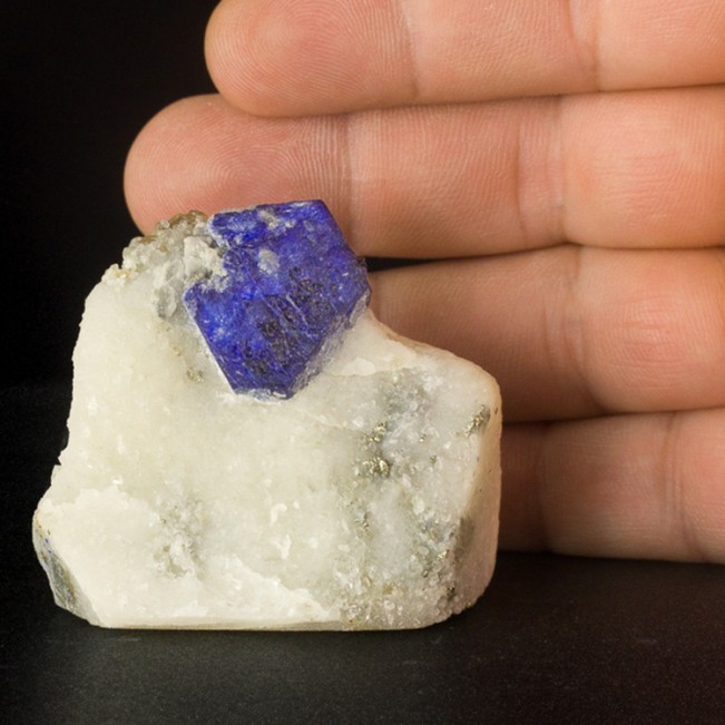 1.1" Deep Blue LAZURITE LAPIS LAZULI Crystal in 2.1" Marble Afghanistan for sale