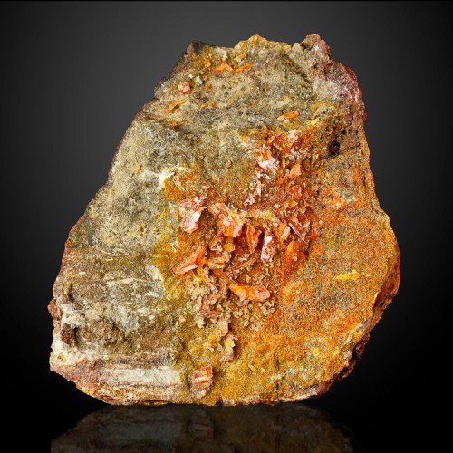 4.2" Brilliant Red Tabular WULFENITE Superb C...