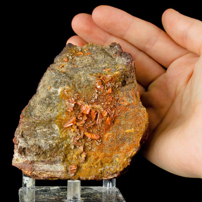 4.2" Brilliant Red Tabular WULFENITE Superb Crystals Geronimo Mine AZ for sale