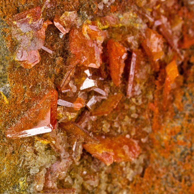 4.2" Brilliant Red Tabular WULFENITE Superb Crystals Geronimo Mine AZ for sale