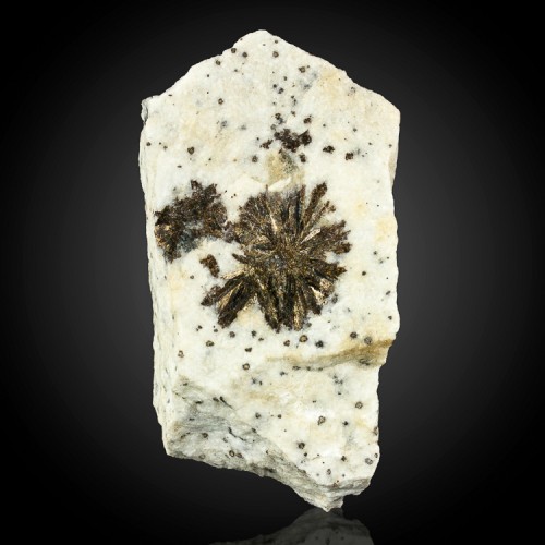 3.8" 2 Bronze ASTROPHYLLITE Radiating Crystal...