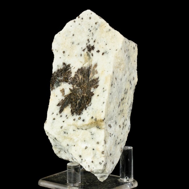 3.8" 2 Bronze ASTROPHYLLITE Radiating Crystal Clusters in Matrix Russia for sale