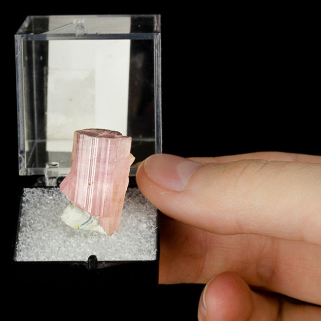 1" 30ct Lustrous Terminated Rosy Pink TOURMALINE Crystal Afghanistan for sale