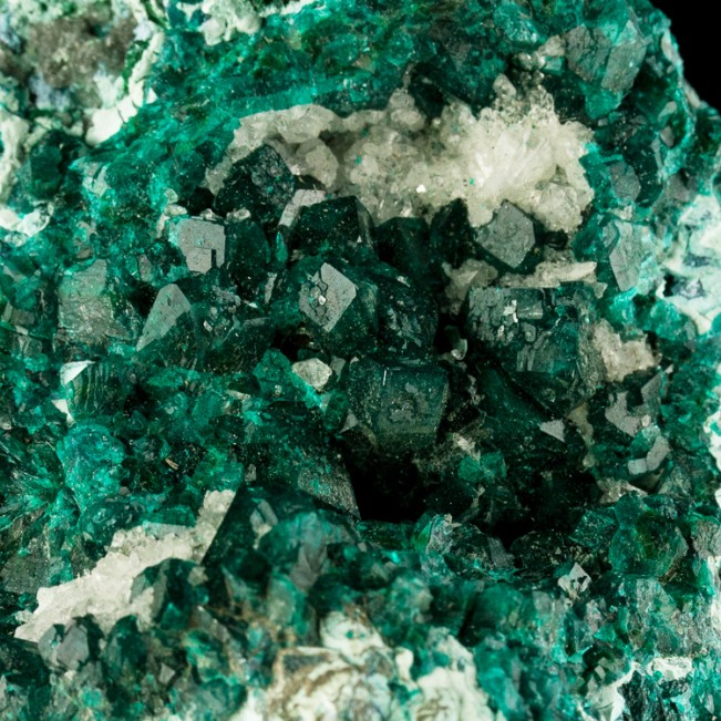 4.7" Flashy Wet Look Dark Green DIOPTASE Crystals to 8mm in Vug Congo for sale