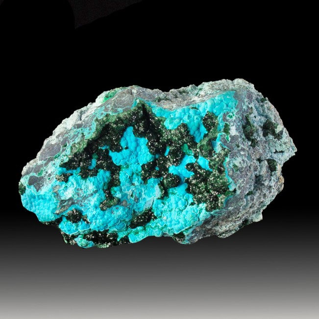 4.3" SparklyDarkGreen MALACHITE Crystals on Turquoise CHRYSOCOLLA Congo for sale