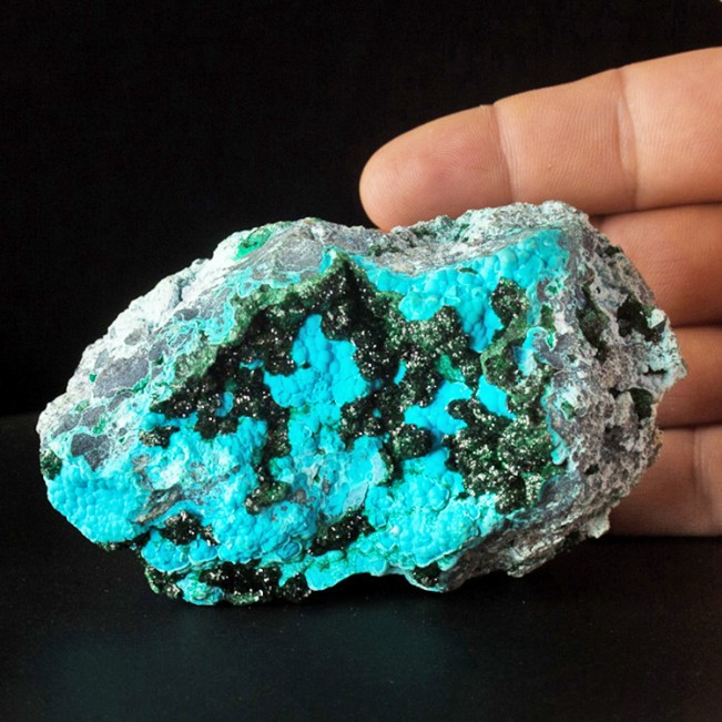 4.3" SparklyDarkGreen MALACHITE Crystals on Turquoise CHRYSOCOLLA Congo for sale