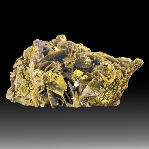 4.5" Metallic Gold CHALCOPYRITE on SIDERITE C...