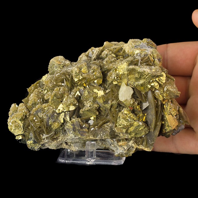 5.1" Sharp&Shiny CHALCOPYRITE +SIDERITE Metallic Golden Crystals China for sale