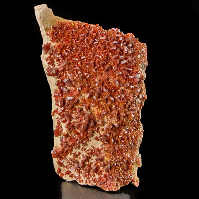 7.8" Bright Flamboyant Red VANADANITE Crystals to .6" No Damage Morocco for sale