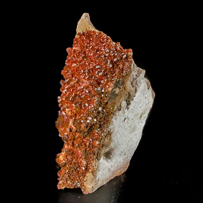 7.8" Bright Flamboyant Red VANADANITE Crystals to .6" No Damage Morocco for sale