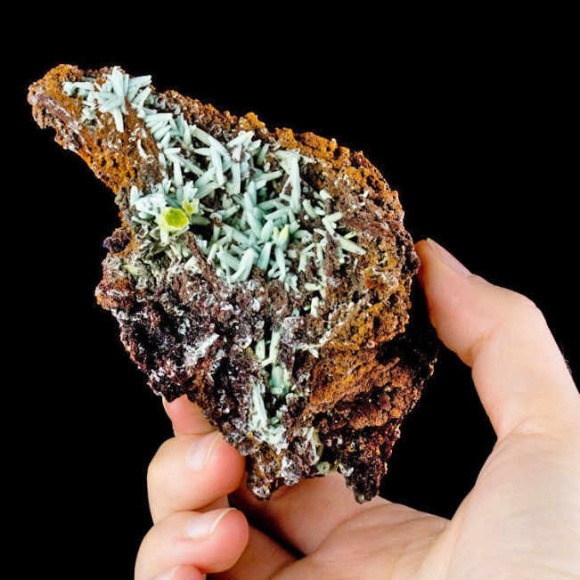 4.6" Turquoise PLUMBOGUMMITE Pseudo after PYROMORPHITE Crystals China for sale