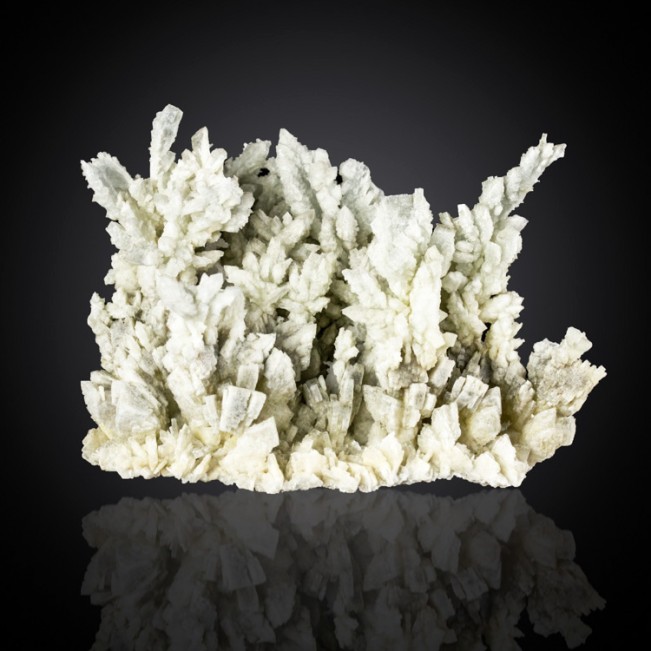 3.5" Pale Blue Cock's Comb Stalactitic BARITE Intricate Crystals Spain for sale