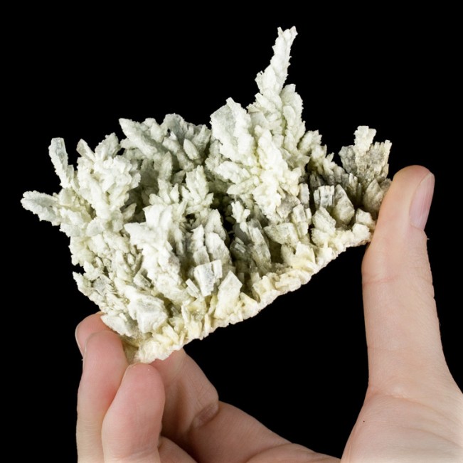 3.5" Pale Blue Cock's Comb Stalactitic BARITE Intricate Crystals Spain for sale