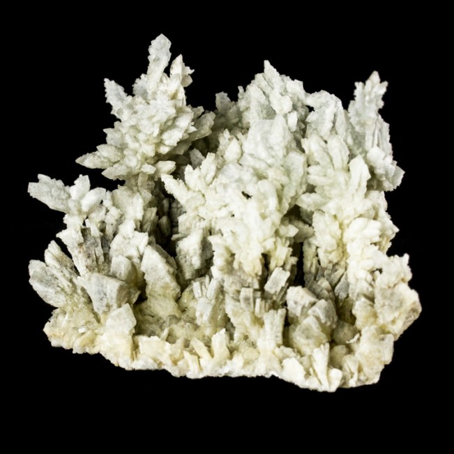 3.5" Pale Blue Cock's Comb Stalactitic BARITE Intricate Crystals Spain for sale