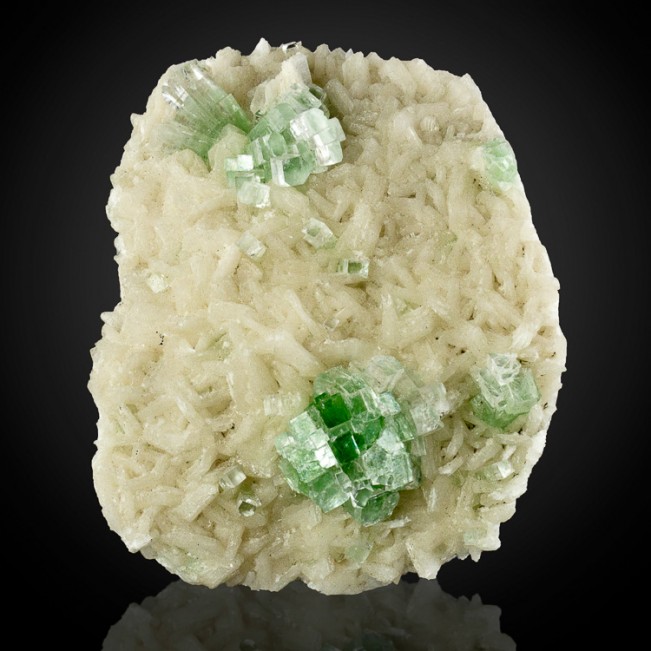 4.4" GemmyGreen DISCO-BALL APOPHYLLITE Crystals on White Stilbite India for sale