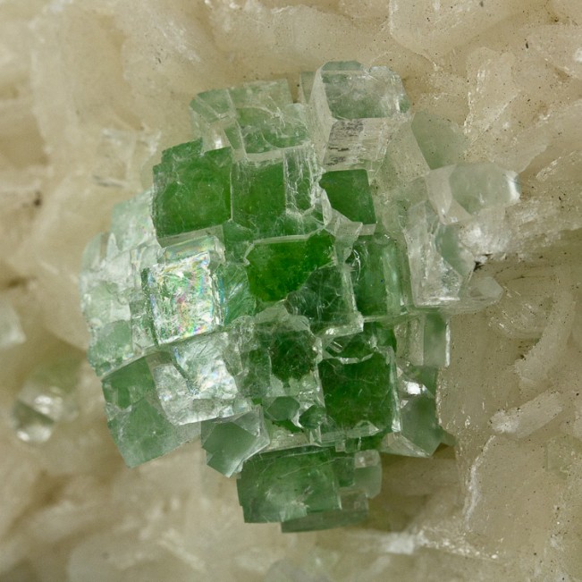 4.4" GemmyGreen DISCO-BALL APOPHYLLITE Crystals on White Stilbite India for sale