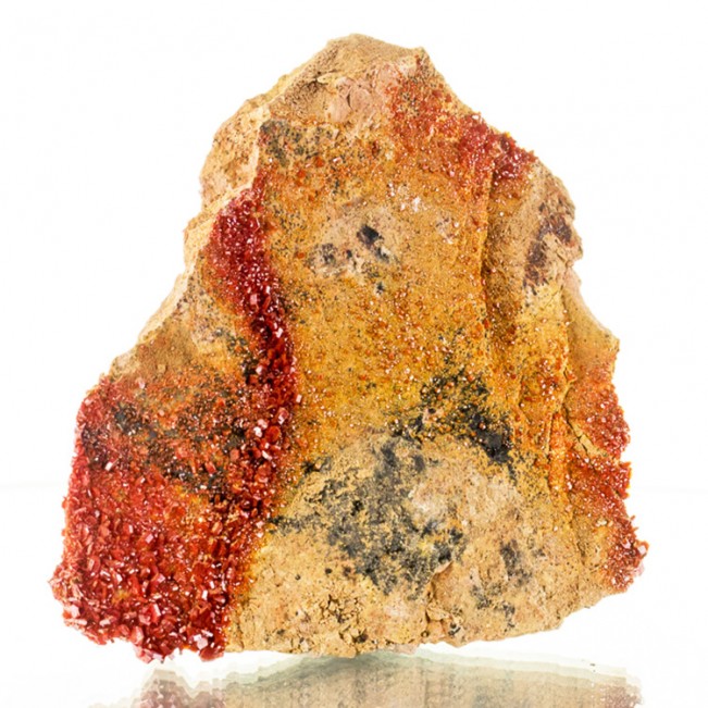 4.3" Blazing Red VANADANITE XtraSharp Crystals to 6mm on Matrix Morocco for sale