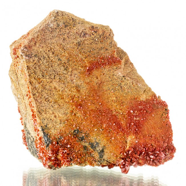 4.3" Blazing Red VANADANITE XtraSharp Crystals to 6mm on Matrix Morocco for sale