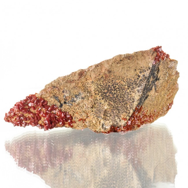 4.3" Blazing Red VANADANITE XtraSharp Crystals to 6mm on Matrix Morocco for sale