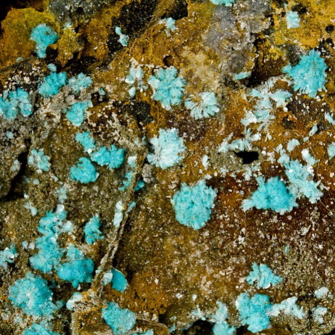 3.7" Bright Turquoise Blue ROSASITE Hemisphere Balls on Limonite Lavrion Greene