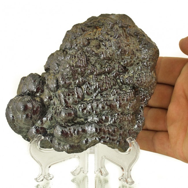 5.9" Metallic Mirror HEMATITE "KIDNEY ORE" w/Botryoidal Bubbles Morocco for sale