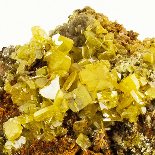 3.9" Gem Clear Tabular Yellow WULFENITE Crystals +Green MIMETITE Mexico for sale